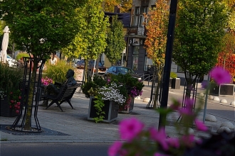 Radomsko w obiektywie - fotospacer